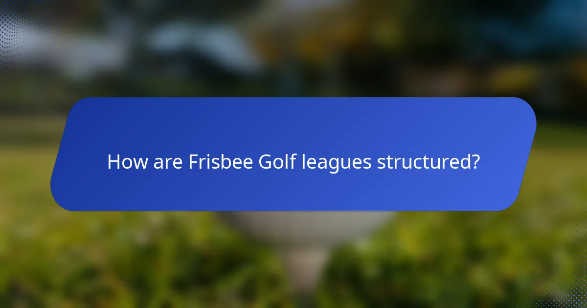 How are Frisbee Golf leagues structured?