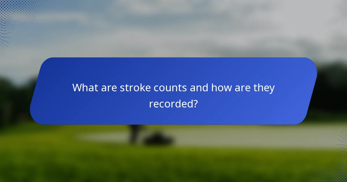 What are stroke counts and how are they recorded?